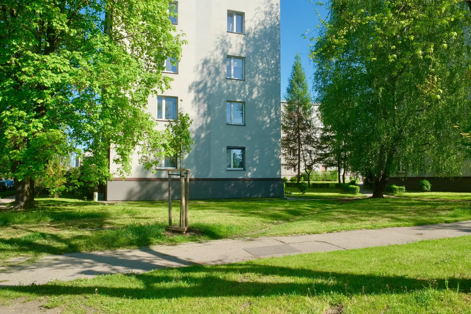 1 piętro I Do remontu I Sośnica 7