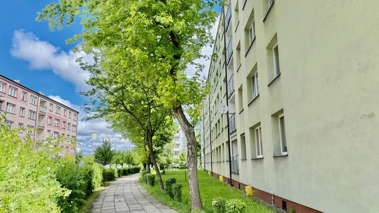 3 POKOJE I DO REMONTU I NISKIE KOSZTY I 3